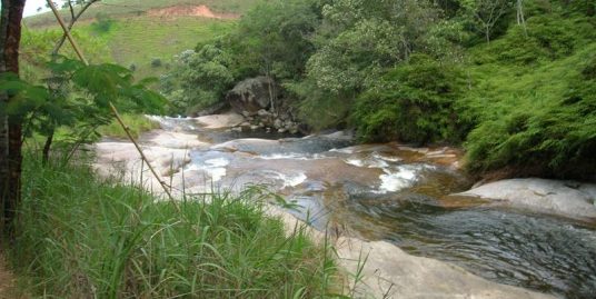 REF-400 Fazenda região de Piquete