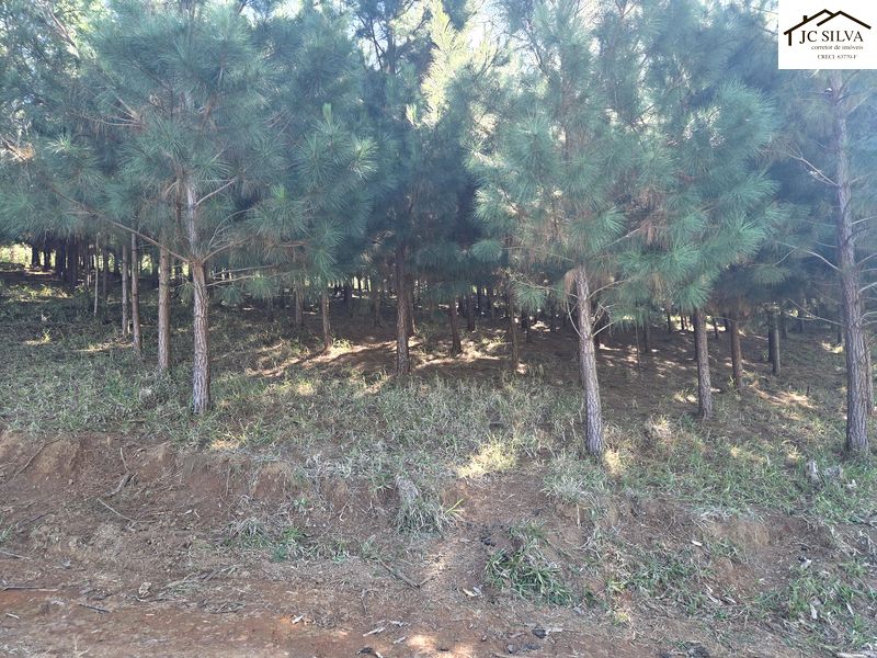 28_NOVO ARQUIVO